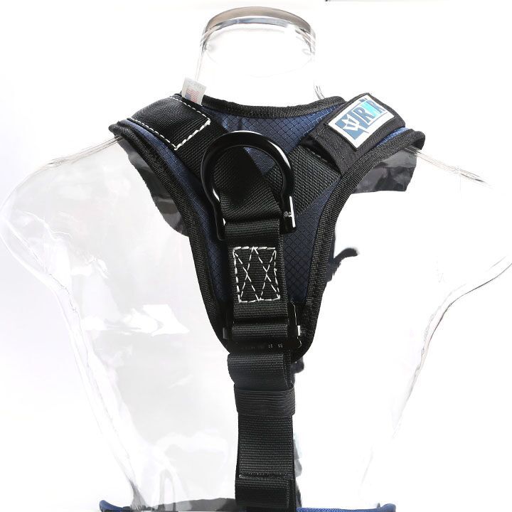 RNR Patriot Full Body Harness – Version II - Image 3